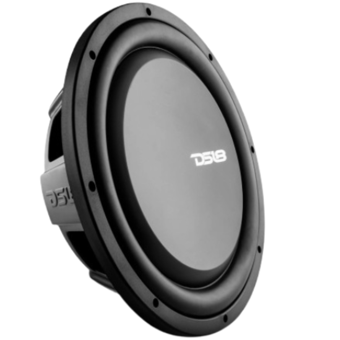 DS18 PSW12.2D 12" 1200W Max Dual 2-Ohm Water-Resistant Shallow Mount Subwoofer