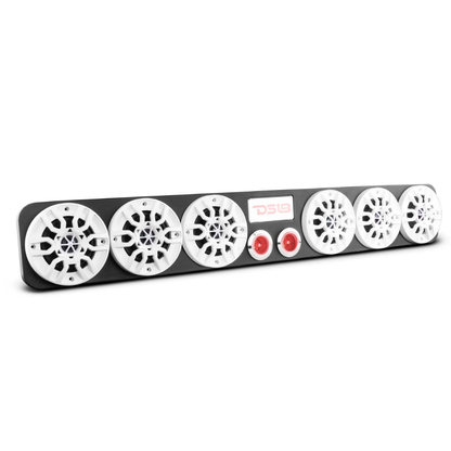 DS18 EN64-39 39" Universal Speaker Enclosure (6) 4" Speakers & (2) 2.3" Tweeters