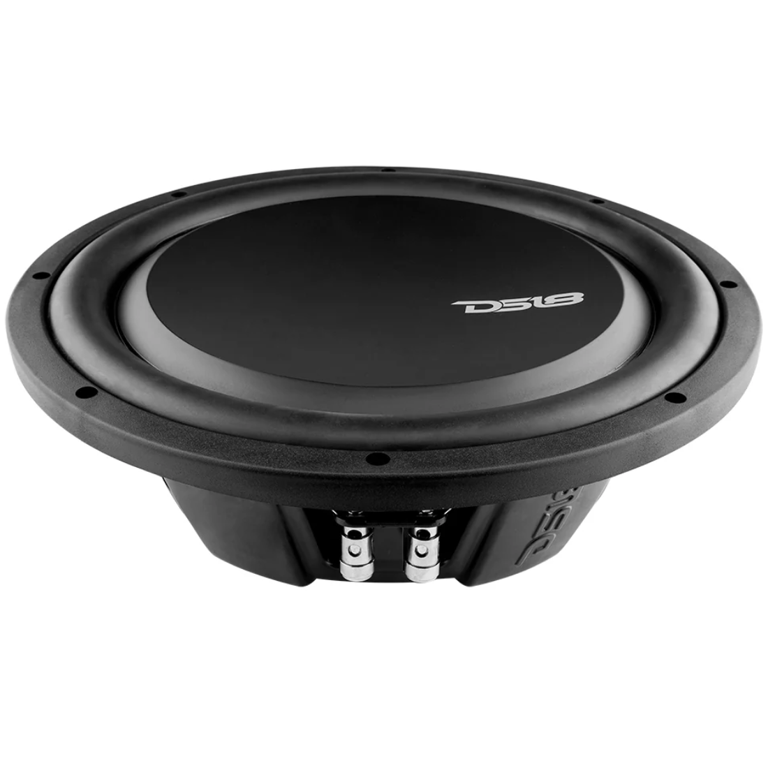 DS18 PSW12.2D 12" 1200W Max Dual 2-Ohm Water-Resistant Shallow Mount Subwoofer